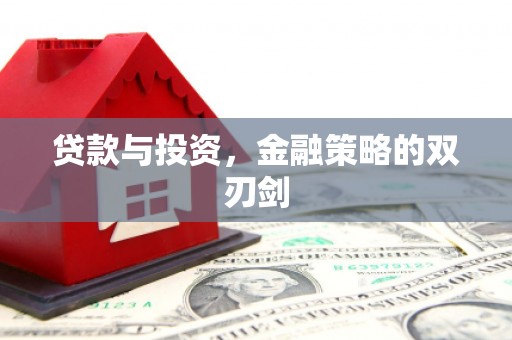 龙游贷款与投资，金融策略的双刃剑