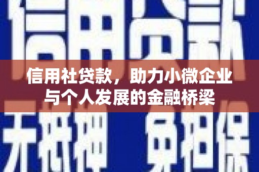 沙坪坝信用社贷款，助力小微企业与个人发展的金融桥梁