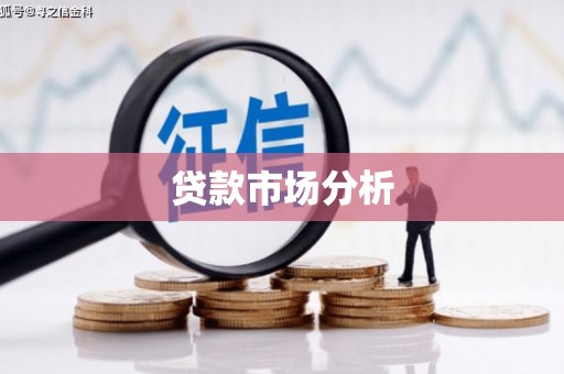 隆子贷款市场分析