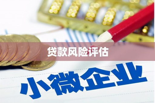 罗山贷款风险评估