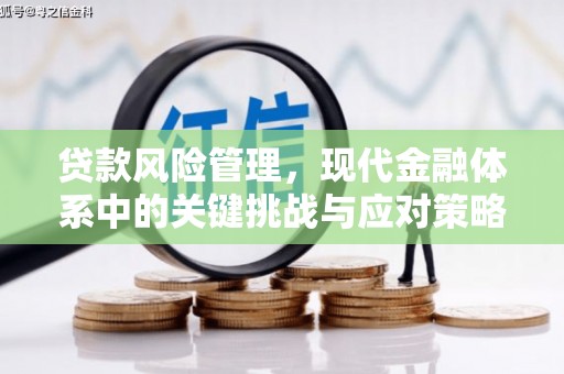 坦洲贷款风险管理，现代金融体系中的关键挑战与应对策略