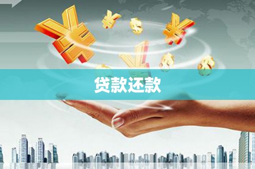 雨山贷款还款
