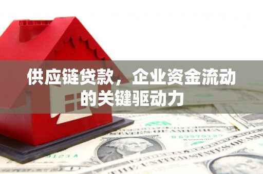 苍南供应链贷款，企业资金流动的关键驱动力