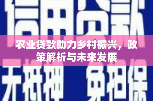 资兴农业贷款助力乡村振兴，政策解析与未来发展