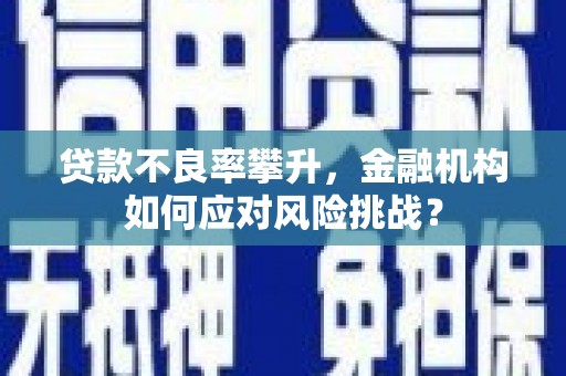 南丹贷款不良率攀升，金融机构如何应对风险挑战？