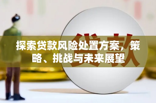 溆浦探索贷款风险处置方案，策略、挑战与未来展望