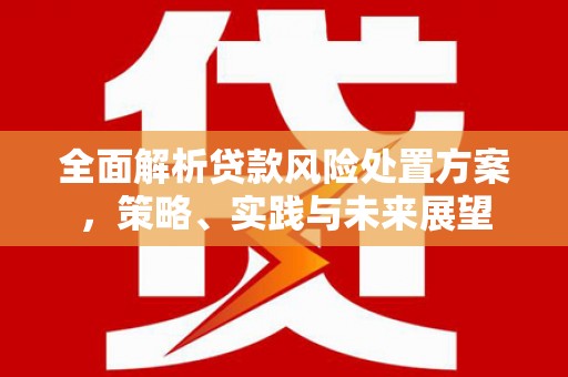 腾冲全面解析贷款风险处置方案，策略、实践与未来展望