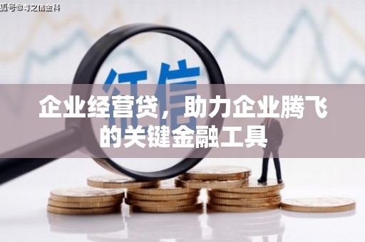 万柏林企业经营贷，助力企业腾飞的关键金融工具