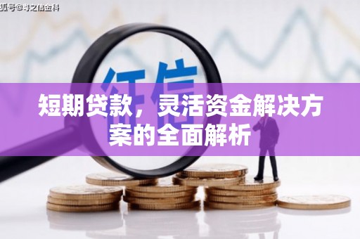 树林短期贷款，灵活资金解决方案的全面解析