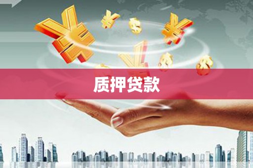 湖西质押贷款