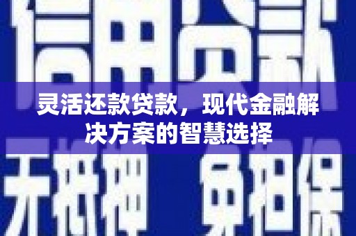 汕尾灵活还款贷款，现代金融解决方案的智慧选择