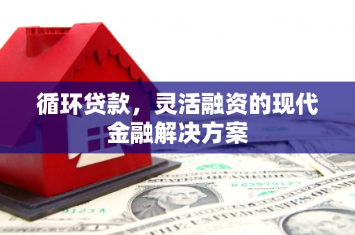 崖州循环贷款，灵活融资的现代金融解决方案
