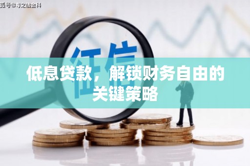 澜沧低息贷款，解锁财务自由的关键策略