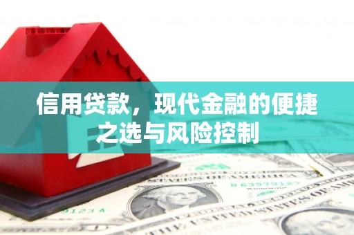 溪口信用贷款，现代金融的便捷之选与风险控制