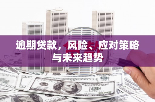 汝南逾期贷款，风险、应对策略与未来趋势