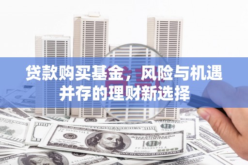 南丰贷款购买基金，风险与机遇并存的理财新选择