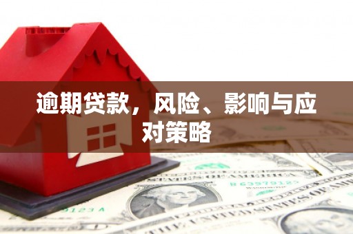 海兴逾期贷款，风险、影响与应对策略