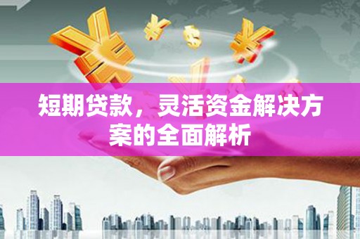 禅城短期贷款，灵活资金解决方案的全面解析