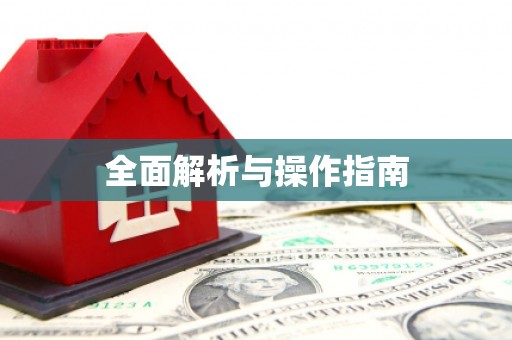乐东全面解析与操作指南