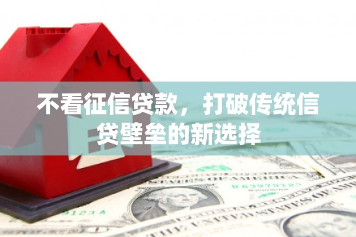 洋县不看征信贷款，打破传统信贷壁垒的新选择