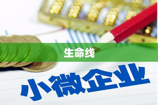 张家港生命线