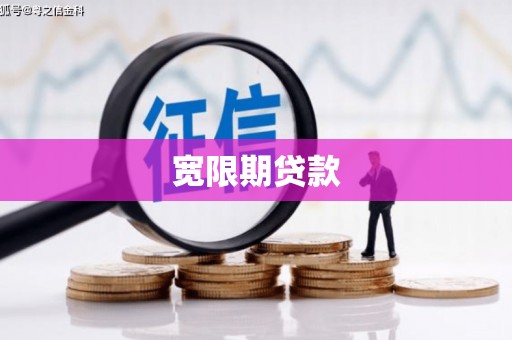 九龙宽限期贷款