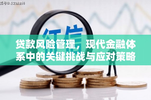 曲阳贷款风险管理，现代金融体系中的关键挑战与应对策略