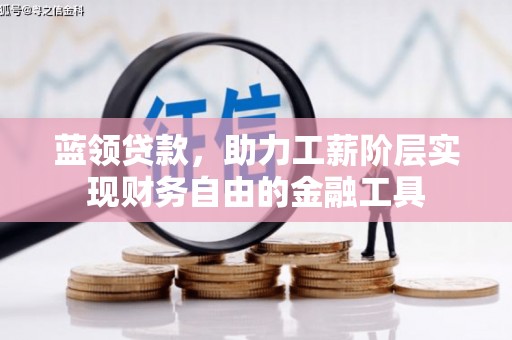 卧龙蓝领贷款，助力工薪阶层实现财务自由的金融工具