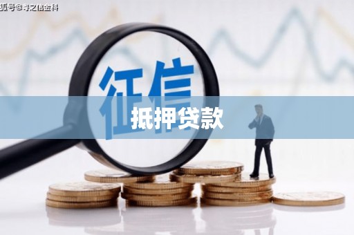 金阳抵押贷款