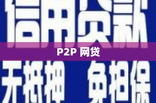 新泰P2P 网贷