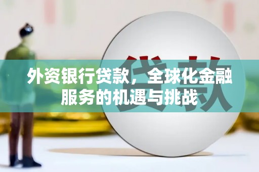 米脂外资银行贷款，全球化金融服务的机遇与挑战