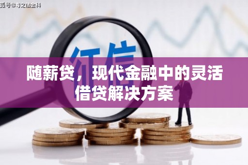 龙湾随薪贷，现代金融中的灵活借贷解决方案