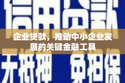云安企业贷款，推动中小企业发展的关键金融工具