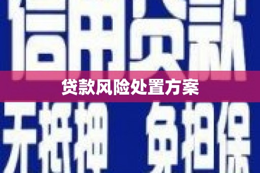 高平贷款风险处置方案