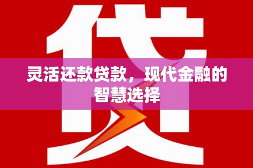 万荣灵活还款贷款，现代金融的智慧选择