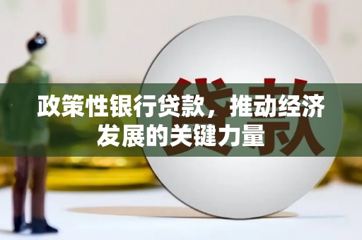 宁乡政策性银行贷款，推动经济发展的关键力量