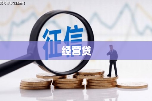 进贤经营贷