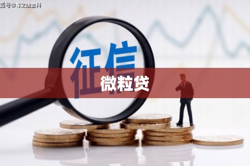 哈尔滨微粒贷