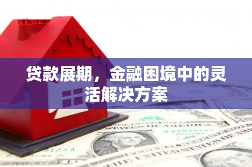 盐田贷款展期，金融困境中的灵活解决方案