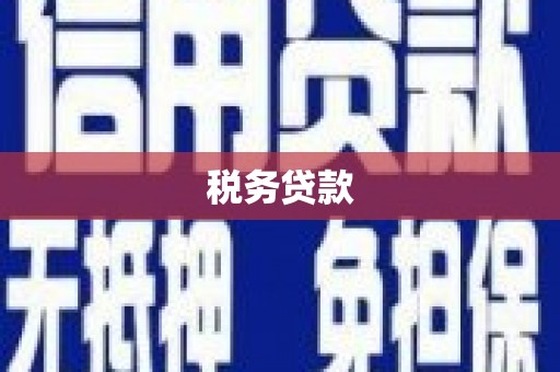 云南税务贷款