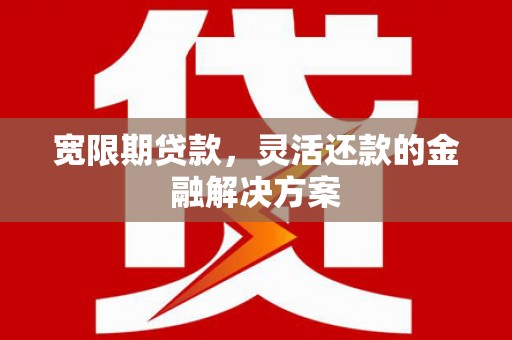 莎车宽限期贷款，灵活还款的金融解决方案