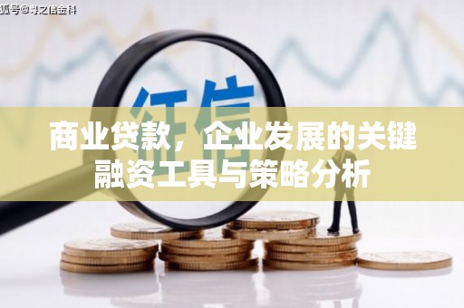海丰商业贷款，企业发展的关键融资工具与策略分析