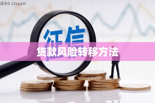 从化贷款风险转移方法