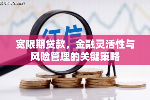 亭湖宽限期贷款，金融灵活性与风险管理的关键策略
