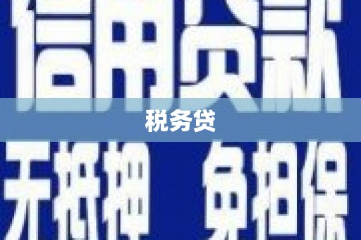 石嘴山税务贷
