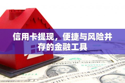 泾川信用卡提现，便捷与风险并存的金融工具