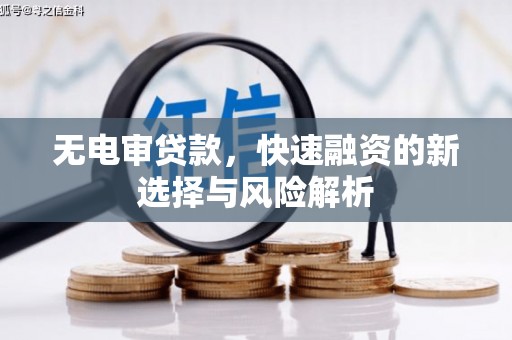 洪雅无电审贷款，快速融资的新选择与风险解析