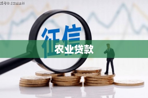 中西区农业贷款