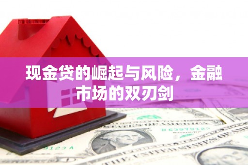 浔阳现金贷的崛起与风险，金融市场的双刃剑