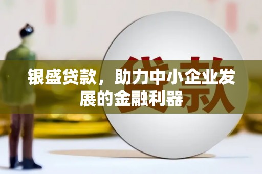 武义县银盛贷款，助力中小企业发展的金融利器